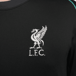 Men's Nike Replica Liverpool Away Jersey 2024/2025